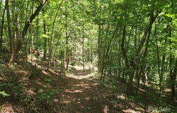 2003 Zacks Fork Road, Lenoir, NC 28645