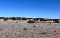 004q N N7204, St. Johns, AZ 85936