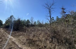 E Minnie Vaughn Rd, Columbus, MS 39702