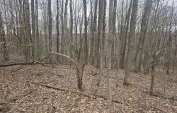 0WP Syrian Hill Rd, Solon, NY 13101