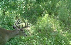 3324-a County Road 3206, Dawson, TX 76639