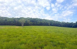 1937 E 850 Road, Lecompton, KS 66050