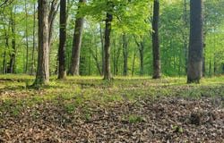 1461 Spirea Court, North Vernon, IN 47265
