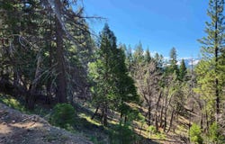 2725 Meadow View Lane, Spring Garden, CA 95971