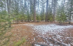 270 EAGLE DR, CHEWELAH, WA 99109