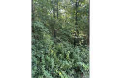 0 Ripley 21N-4, Doniphan, MO 63935