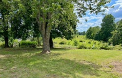 8080 Ky 49, Liberty, KY 42539