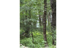 65 Blueberry Drive, DEPOSIT, NY 13754