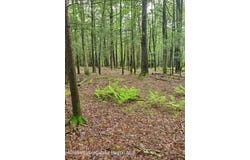 Schroon Hill Road, Kerhonkson, NY 12446