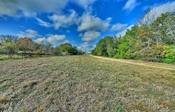 505 North Live Oak Street, Round Top, TX 78954