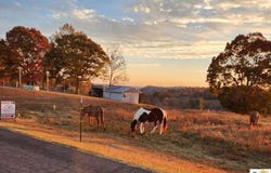 00 Casey Creek Road, Columbia, KY 42728