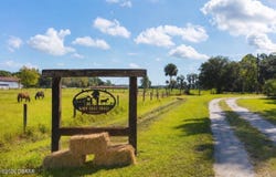 721 Lost Tree Trail, New Smyrna Beach, FL 32168