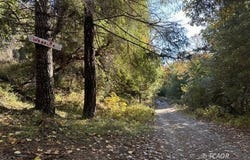 531 Wood Ln, Salyer, CA 95563
