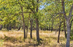 18.145 Acres Herber-Schaefer RD, Fredericksburg, TX 78624