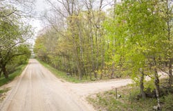 4848 Cutler Road, Six Lakes, MI 48886