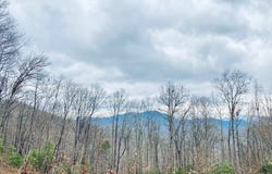 Lt 1Sec5 Parchment Ln lot: 1,Sec5, Sylva, NC 28779