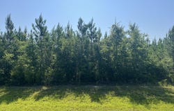 0 SE Nadine Stone Landing Road, Kinard, FL 32449