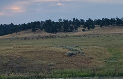 3224 79 Trail Road, Roy, MT 59471