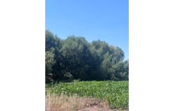 Tbd N 55th E, Idaho Falls, ID 83401