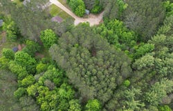 TBD Primrose Lane, Farwell, MI 48622