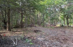 Mabelvale, AR 72103