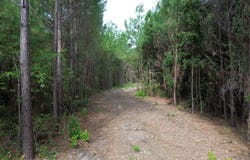 Highway 311 lot: 1, Cross, SC 29436