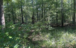 Stump Ridge Road, Brandon, MS 39047