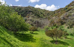 3423 Standish Dr, Encino, CA 91436