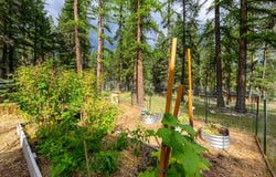 346 Crystal Lakes Drive, Eureka, MT 59917