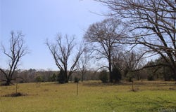 0 Toles Road, Grady, AL 36036