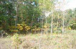 Parcel B 109th Avenue, Pullman, MI 49450