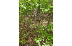 Fire Tower Lane, Raeford, NC 28376