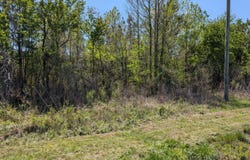 000 111, Chinquapin, NC 28521