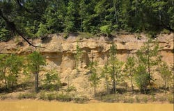 Reedy Branch Rd., Shottsville, AL 35582