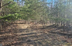 TIGER VALLEY Road, HYNDMAN, PA 15545
