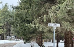 White Pine Lane lot: 16, Croswell, MI 48422