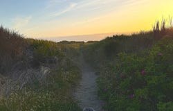 Sandpiper Ln, Manzanita, OR 97130