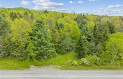 Lot 7C Blackman Hill Road, Caroline, NY 13736
