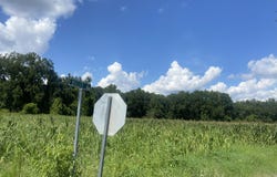 Muller Drive, Manning, SC 29102