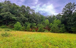 CUMBERLAND ROAD, SPRINGFIELD, WV 26763