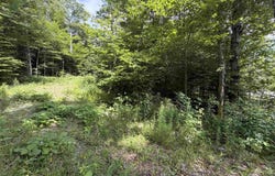 Route 100, Dover, VT 05356
