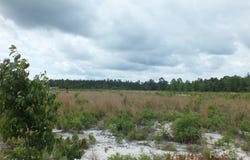 Oak Ridge Church Road, Kershaw, SC 29067