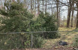 631 Infinity Road, Durham, NC 27712