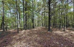 4875 WAR EAGLE DRIVE, BESSEMER, AL 35022