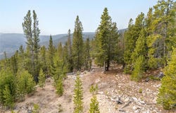 Rosa Trl, Anaconda, MT 59711