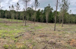 0 Grant 433, Sheridan, AR 72150