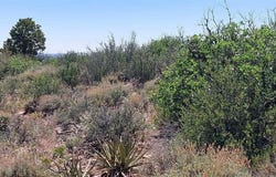 TBD Road C, Dove Creek, CO 81324