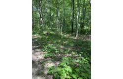 9190 Ferris Avenue, Bitely, MI 49309