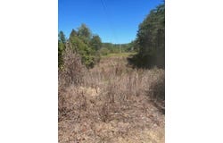 1285 Tbd Halsey Fork, Grassy Creek, KY 41472