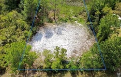 Viola Avenue, Eustis, FL 32736